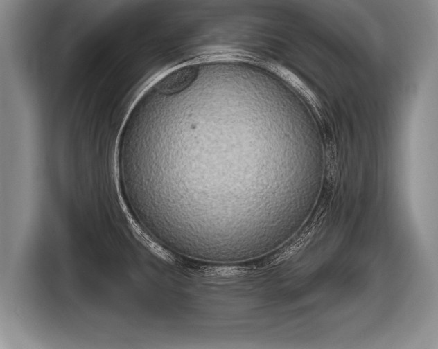 X0000116851431200912291231