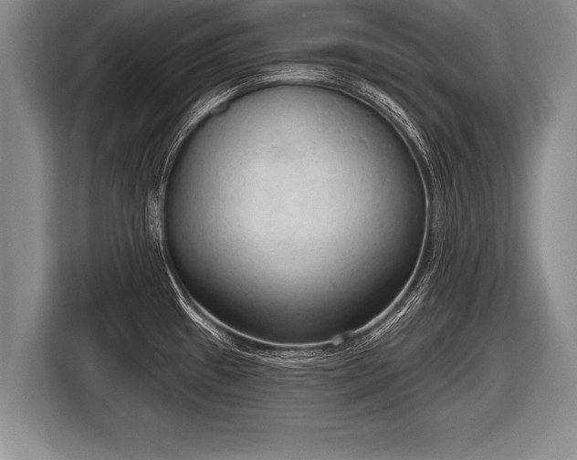 X0000116851433200912291231