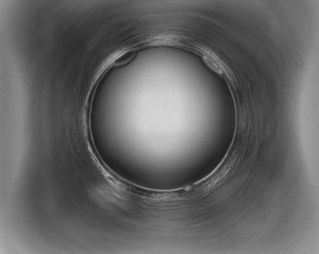 X0000116851434200912291231