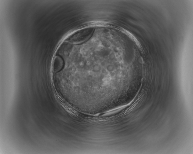 X0000116851435200912291231