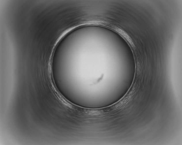 X0000116851436200912291231