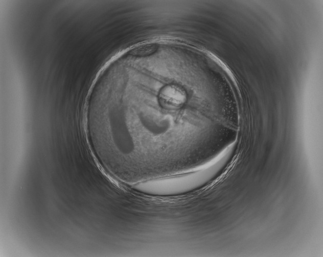 X0000116851437200912291231