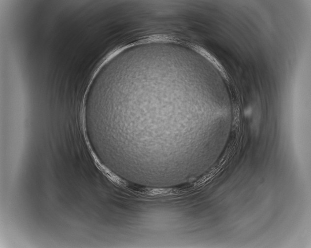 X0000116851439200912291231