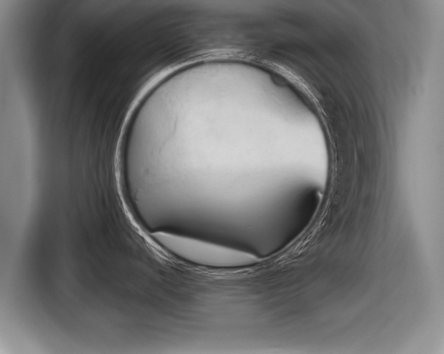 X0000116851440200912291231