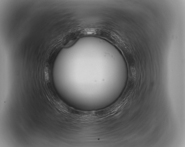 X0000116851442200912291231