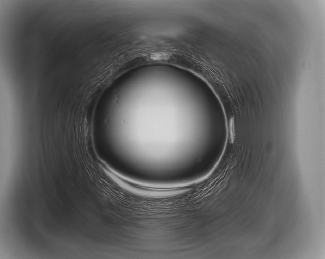 X0000116851443200912291231