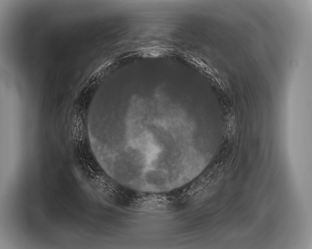 X0000116851446200912291231