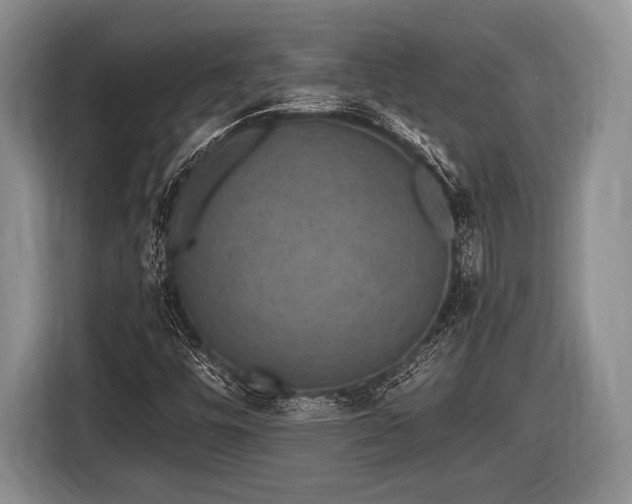 X0000116851448200912291231