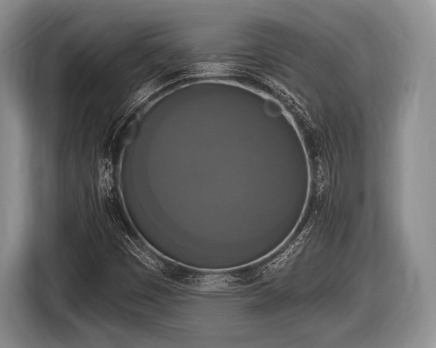 X0000116851449200912291231