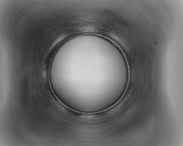 X0000116851450200912291231
