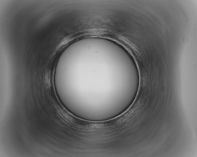 X0000116851451200912291230