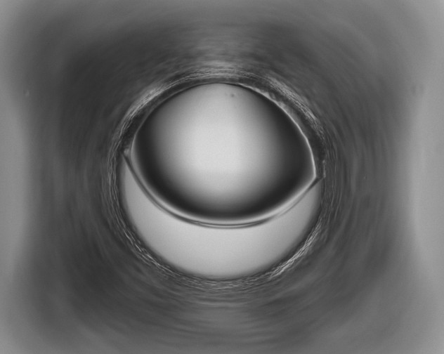 X0000116851453200912291230