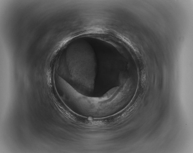 X0000116851455200912291230