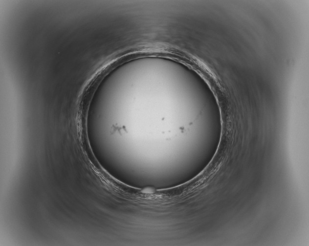 X0000116851456200912291230