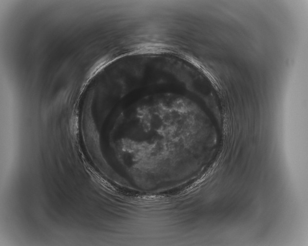 X0000116851459200912291230