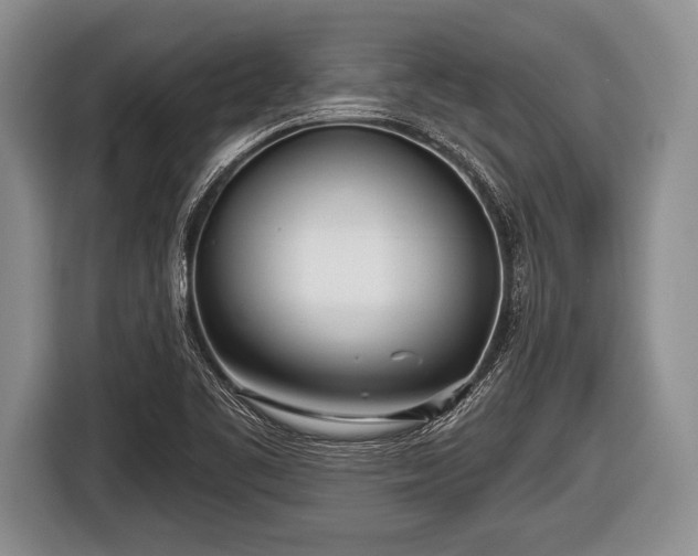 X0000116851461200912291230
