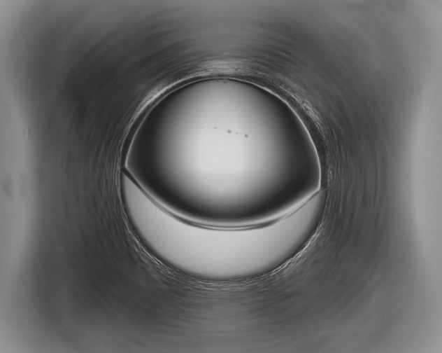 X0000116851465200912291230