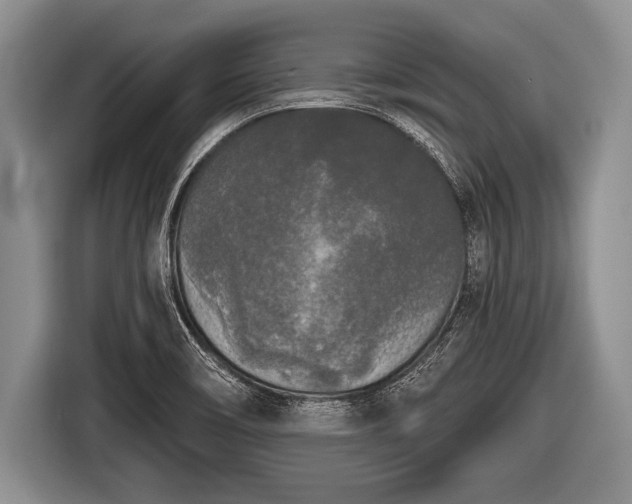 X0000116851466200912291230