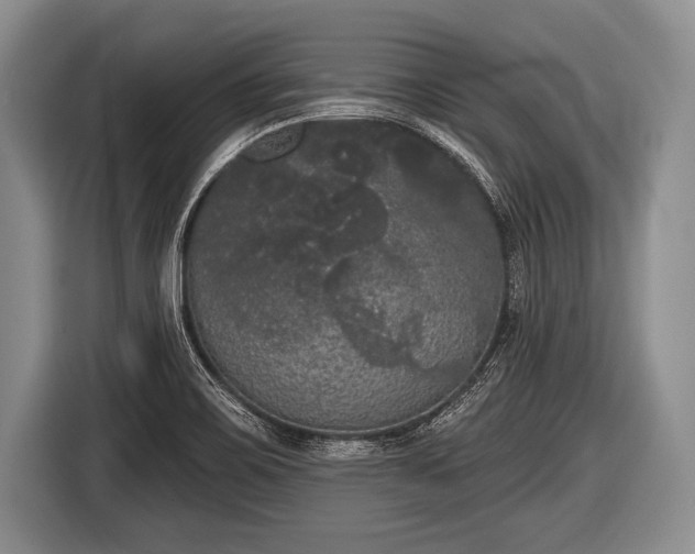 X0000116851467200912291230