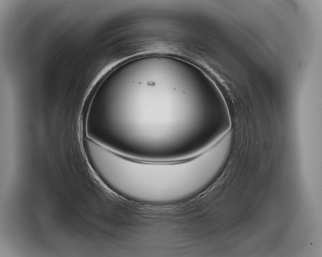 X0000116851468200912291230