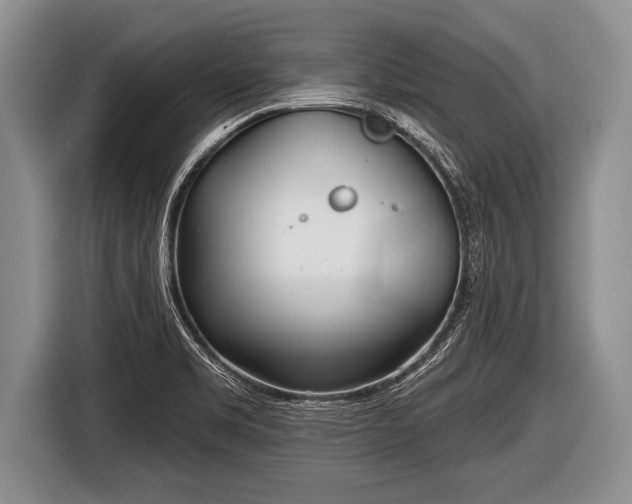 X0000116851469200912291230