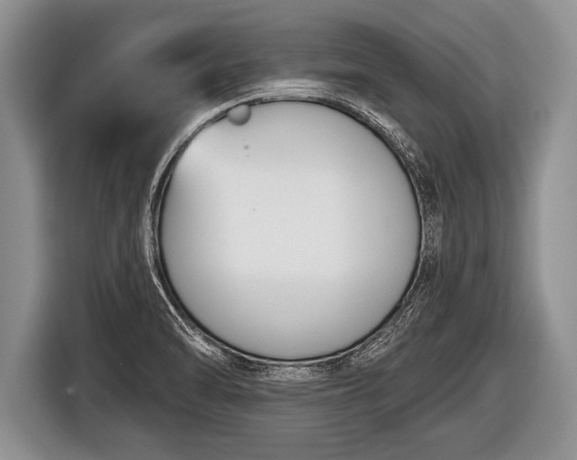 X0000116851470200912291230