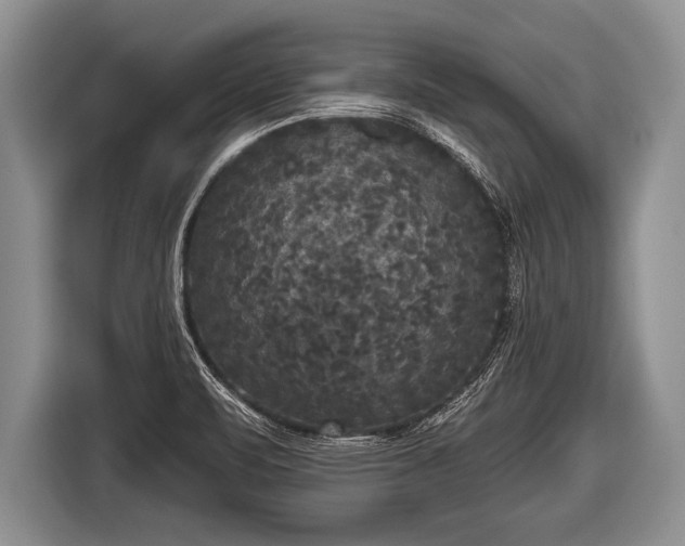 X0000116851471200912291230