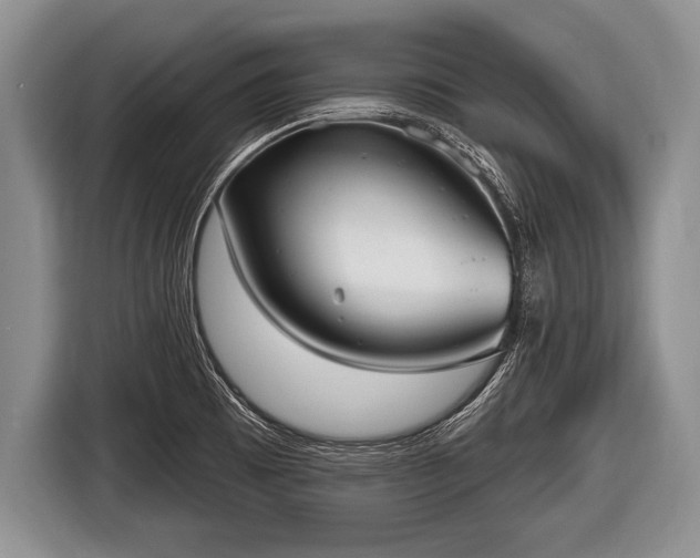 X0000116851473200912291230