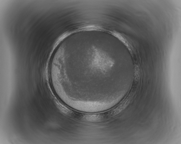 X0000116851474200912291230