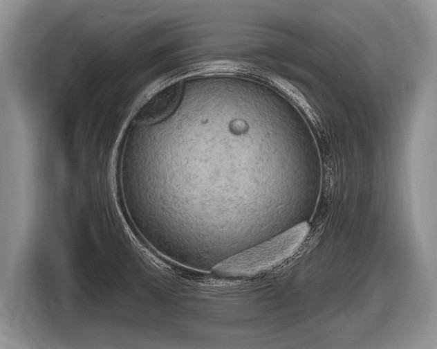 X0000116851475200912291230
