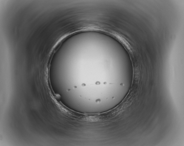 X0000116851476200912291230