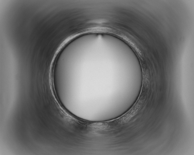 X0000116851478200912291230