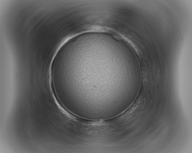 X0000116851479200912291230