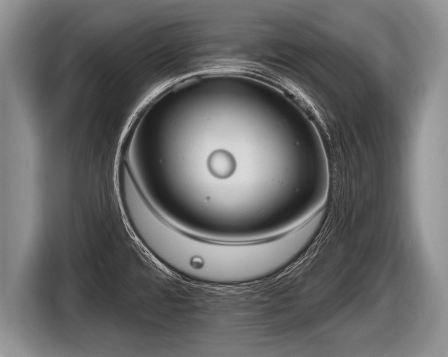 X0000116851480200912291230