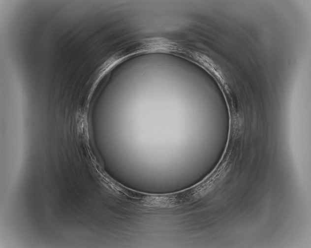 X0000116851481200912291230