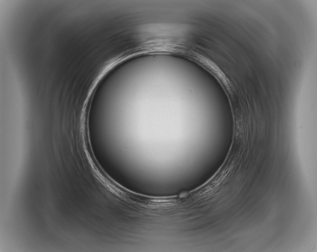 X0000116851483200912291230