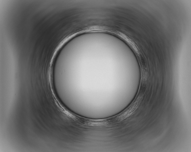 X0000116851486200912291230