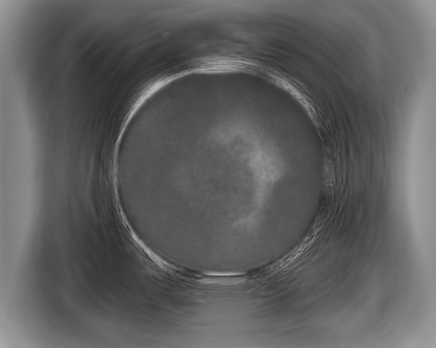 X0000116851487200912291230