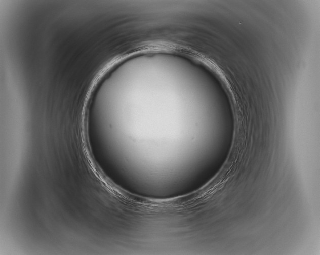 X0000116851488200912291230