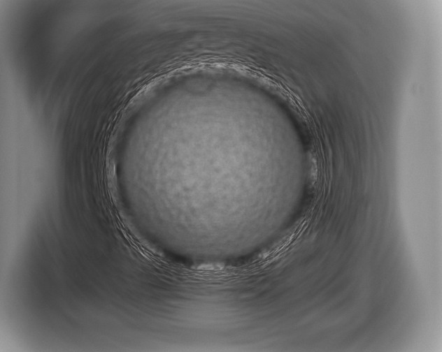 X0000116851489200912291229