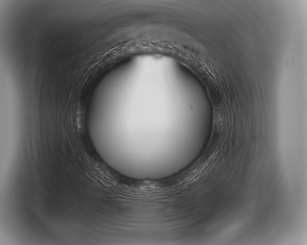 X0000116851490200912291229