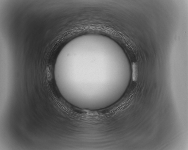 X0000116851491200912291229