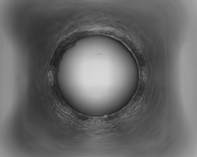 X0000116851493200912291229