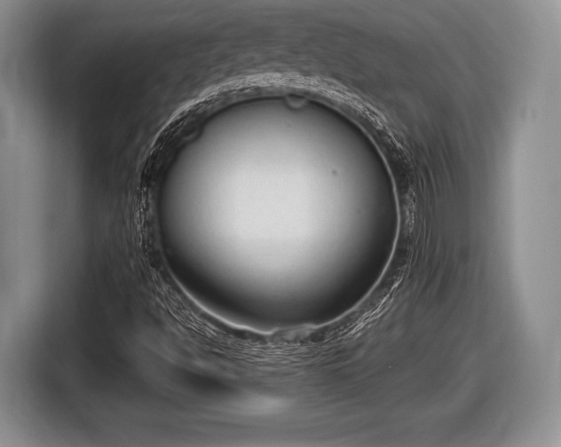 X0000116851494200912291229
