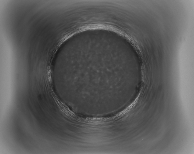 X0000116851497200912291230