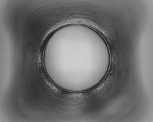 X0000116851498200912291230