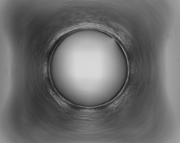 X0000116851499200912291230