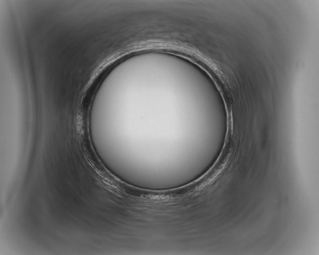 X0000116851501200912291230