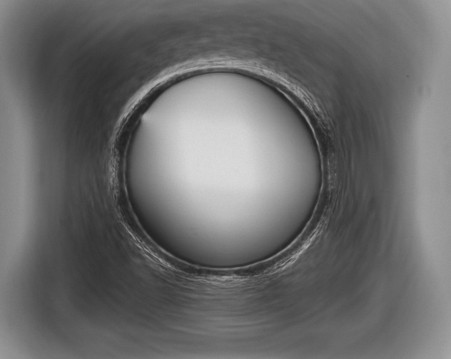 X0000116851502200912291230