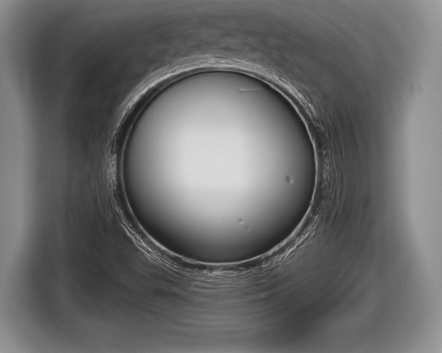 X0000116851503200912291230